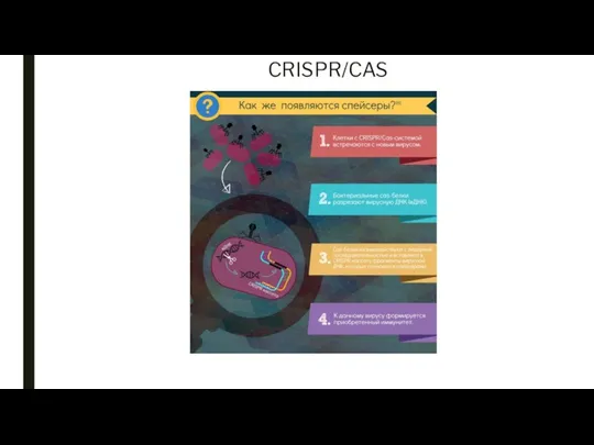 CRISPR/CAS