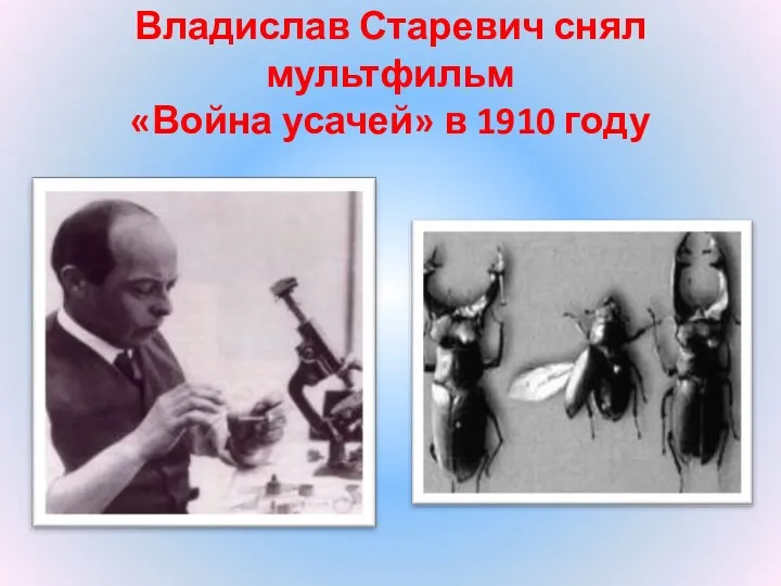Владислав Старевич снял мультфильм «Война усачей» в 1910 году