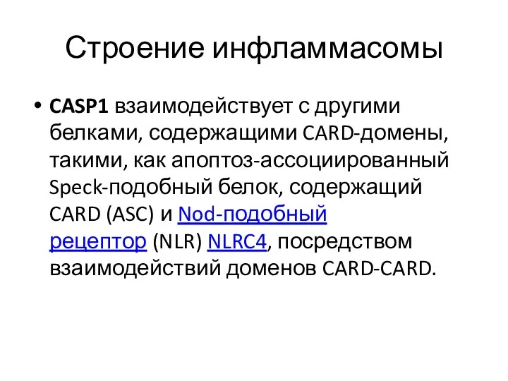 Строение инфламмасомы CASP1 взаимодействует с другими белками, содержащими CARD-домены, такими,