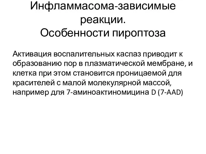 Инфламмасома-зависимые реакции. Особенности пироптоза Активация воспалительных каспаз приводит к образованию