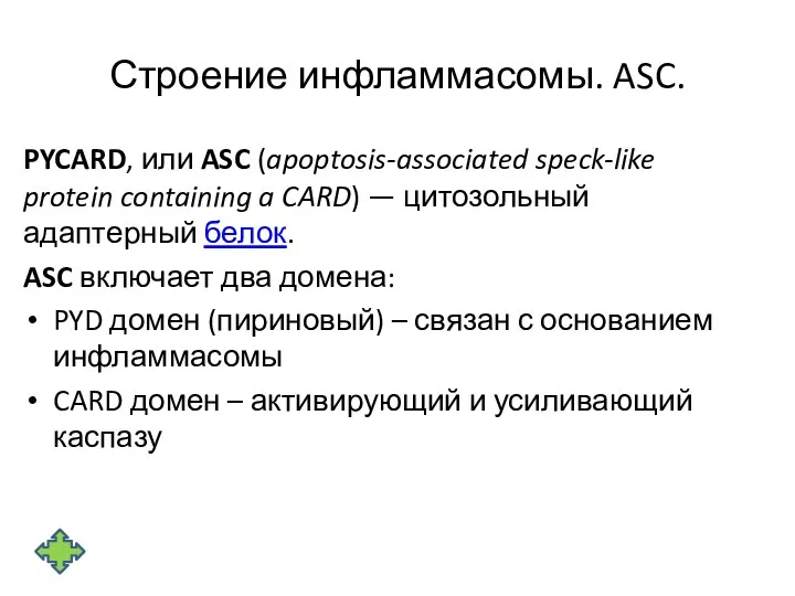 Строение инфламмасомы. ASC. PYCARD, или ASC (apoptosis-associated speck-like protein containing