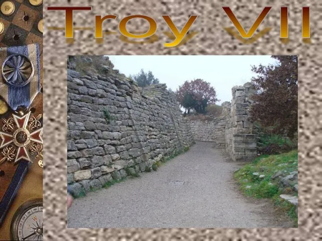 Troy VII