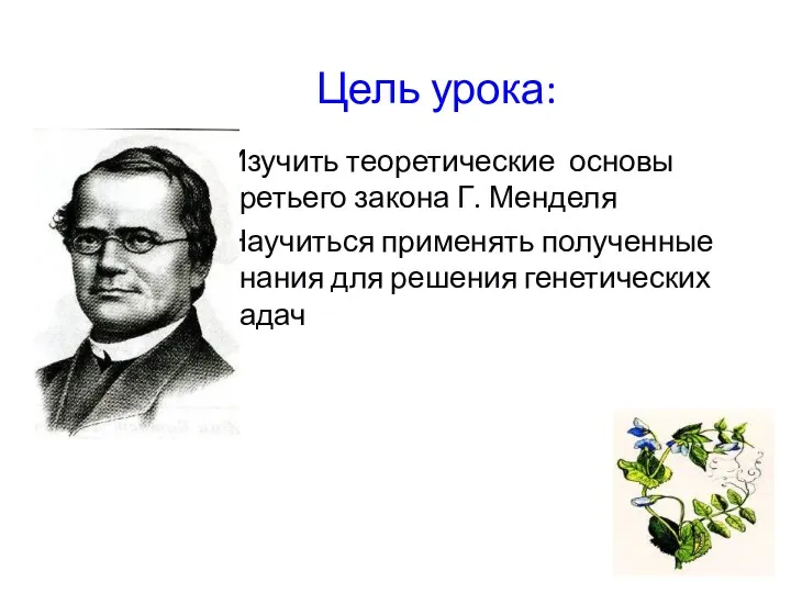 Цель урока: Изучить теоретические основы третьего закона Г. Менделя Научиться применять полученные знания