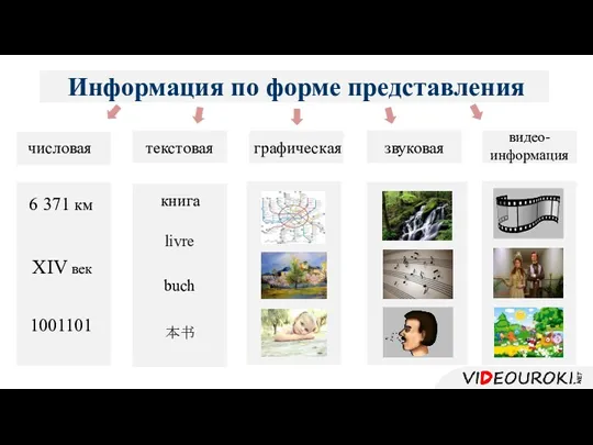 Информация по форме представления числовая текстовая графическая звуковая видео- информация