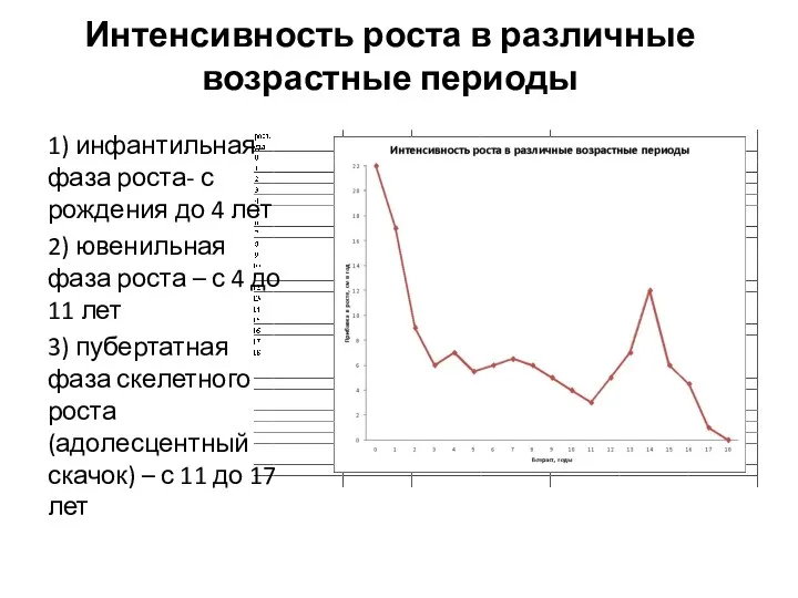 Интенсивность роста в различные возрастные периоды 1) инфантильная фаза роста-