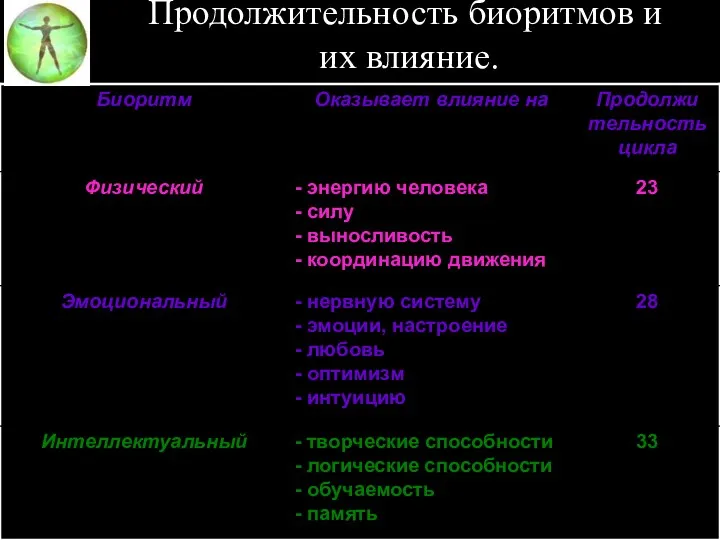 Продолжительность биоритмов и их влияние.