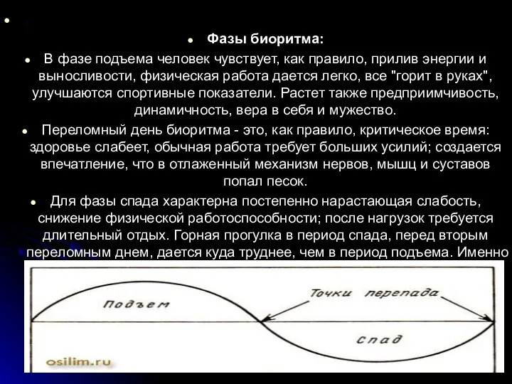 . Фазы биоритма: В фазе подъема человек чувствует, как правило,