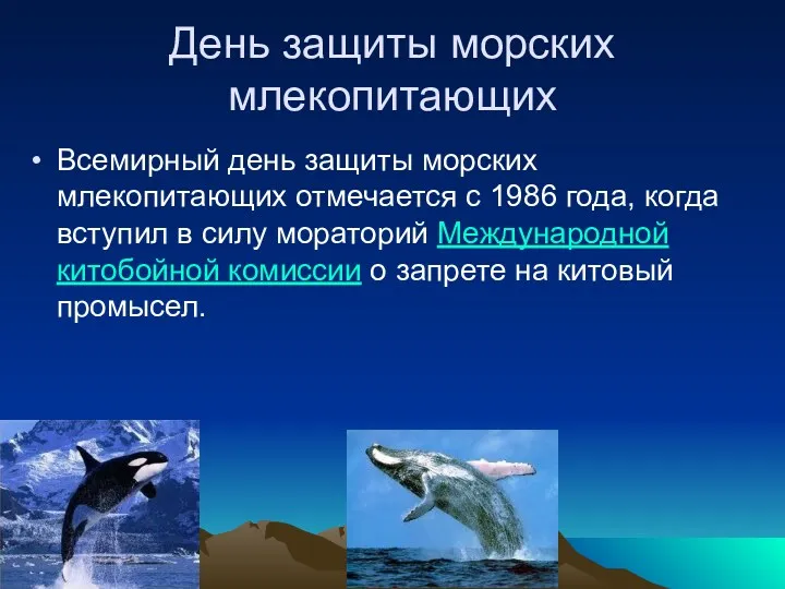 День защиты морских млекопитающих Всемирный день защиты морских млекопитающих отмечается