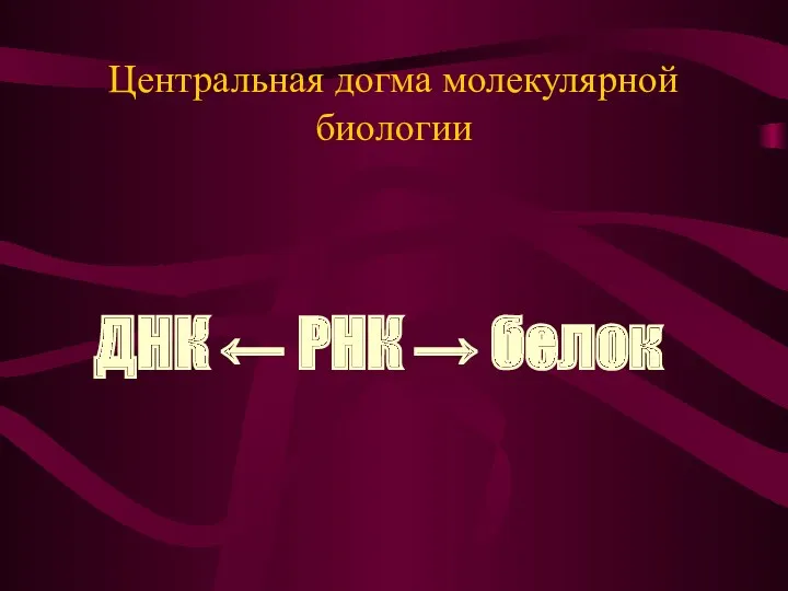 Центральная догма молекулярной биологии ДНК ← РНК → белок