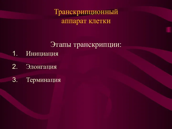 Транскрипционный аппарат клетки Этапы транскрипции: Инициация Элонгация Терминация