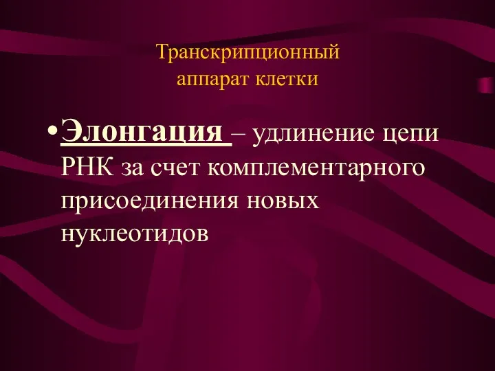 Транскрипционный аппарат клетки Элонгация – удлинение цепи РНК за счет комплементарного присоединения новых нуклеотидов