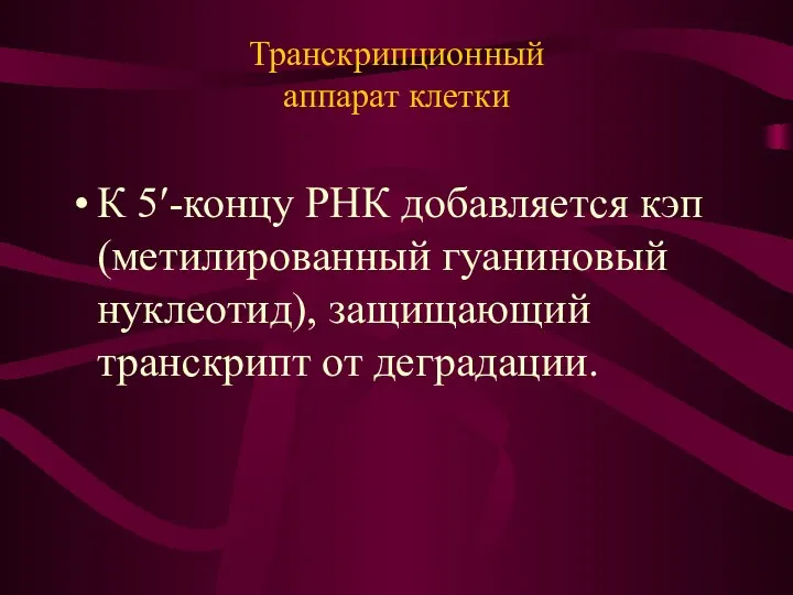 Транскрипционный аппарат клетки К 5′-концу РНК добавляется кэп (метилированный гуаниновый нуклеотид), защищающий транскрипт от деградации.