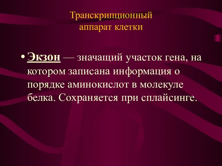 Транскрипционный аппарат клетки Экзон — значащий участок гена, на котором