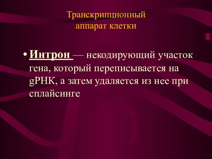 Транскрипционный аппарат клетки Интрон — некодирующий участок гена, который переписывается