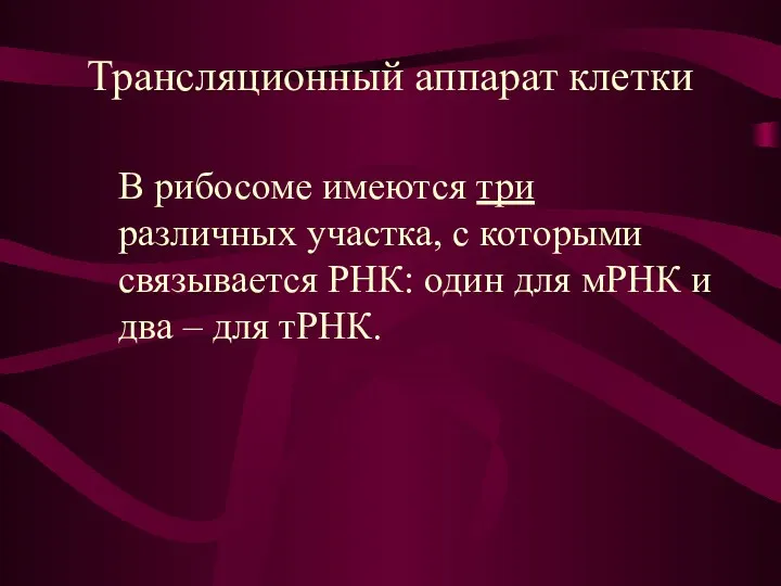 Трансляционный аппарат клетки В рибосоме имеются три различных участка, с