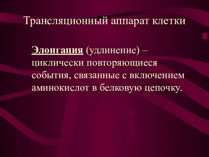 Трансляционный аппарат клетки Элонгация (удлинение) – циклически повторяющиеся события, связанные с включением аминокислот в белковую цепочку.