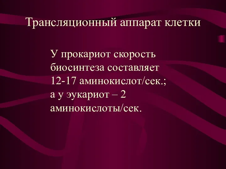 Трансляционный аппарат клетки У прокариот скорость биосинтеза составляет 12-17 аминокислот/сек.; а у эукариот – 2 аминокислоты/сек.