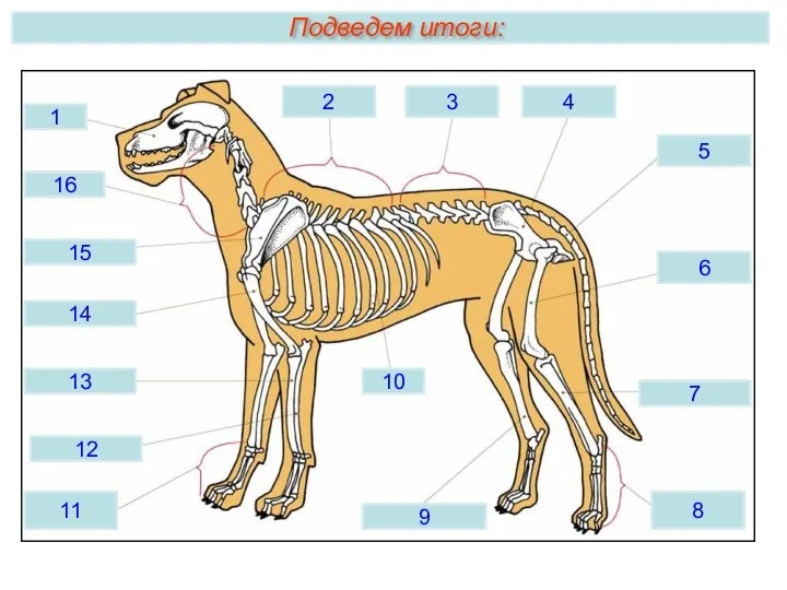 Подведем итоги: 1 2 3 4 5 6 7 8