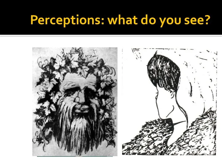 Perceptions: what do you see?