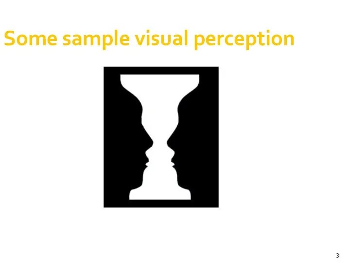 Some sample visual perception