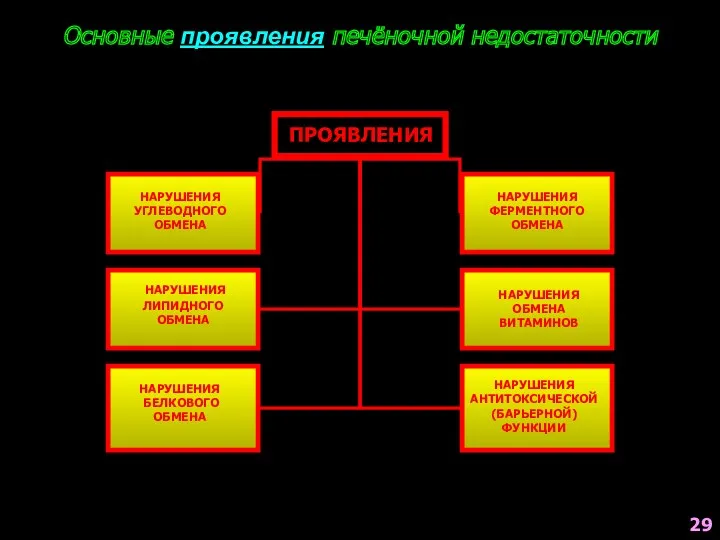 Основные проявления печёночной недостаточности ПРОЯВЛЕНИЯ НАРУШЕНИЯ УГЛЕВОДНОГО ОБМЕНА НАРУШЕНИЯ ЛИПИДНОГО