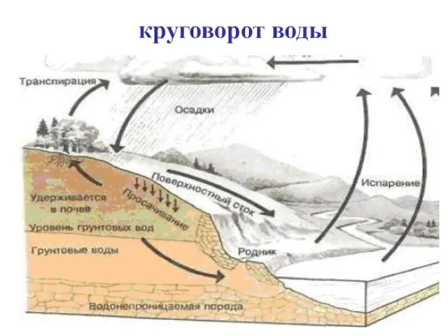 круговорот воды