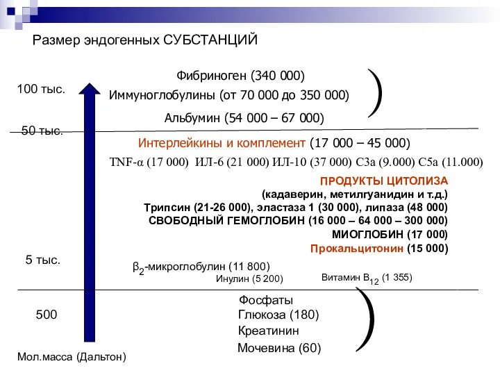 Размер эндогенных СУБСТАНЦИЙ 100 тыс. 50 тыс. 5 тыс. 500