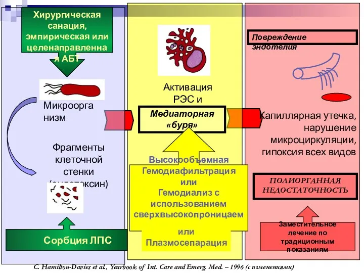 Повреждение эндотелия Микроорганизм Фрагменты клеточной стенки (эндотоксин) Сорбция ЛПС Хирургическая