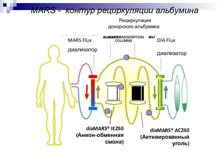 MARS - контур рециркуляции альбумина 1 2 3 4 Рециркуляция