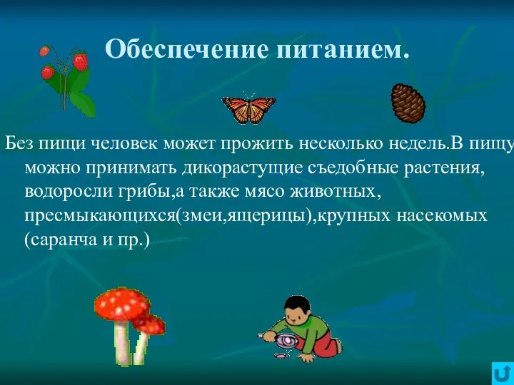 Обеспечение питанием. Без пищи человек может прожить несколько недель.В пищу