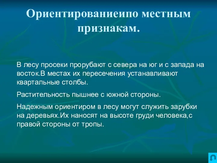 Ориентированиеипо местным признакам. В лесу просеки прорубают с севера на