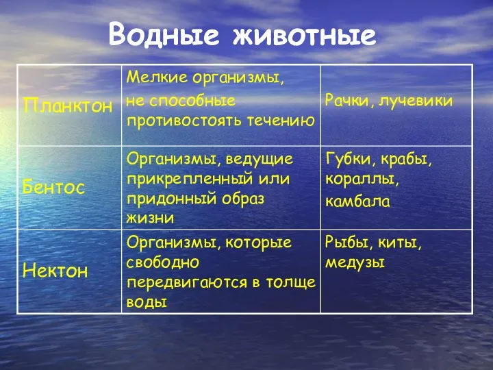 Водные животные