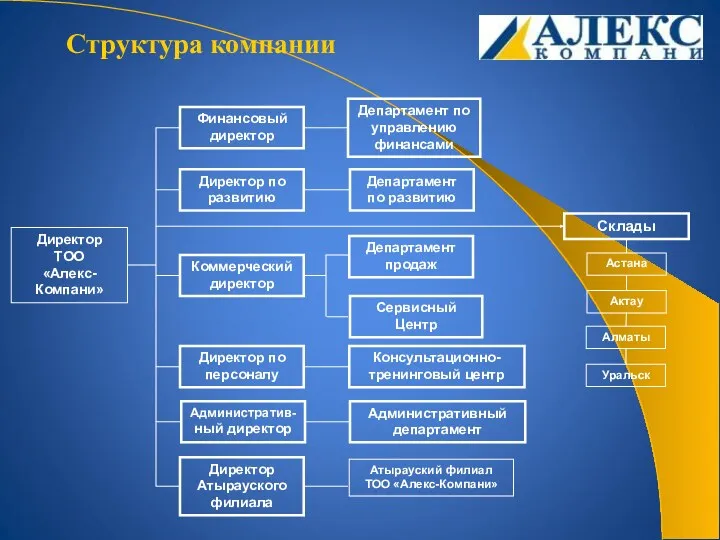 Структура компании Директор ТОО «Алекс-Компани» Финансовый директор Директор по развитию