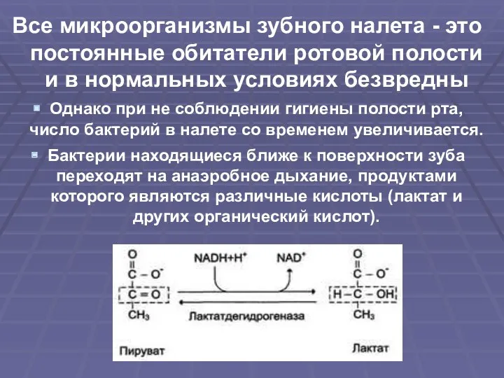 Все микроорганизмы зубного налета - это постоянные обитатели ротовой полости