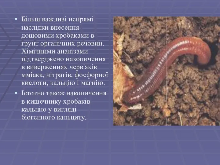 Більш важливі непрямі наслідки внесення дощовими хробаками в грунт органічних