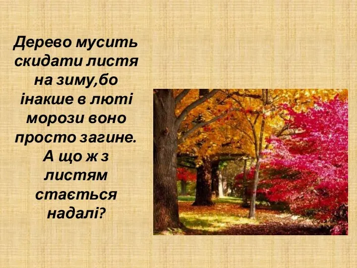 Дерево мусить скидати листя на зиму,бо інакше в люті морози