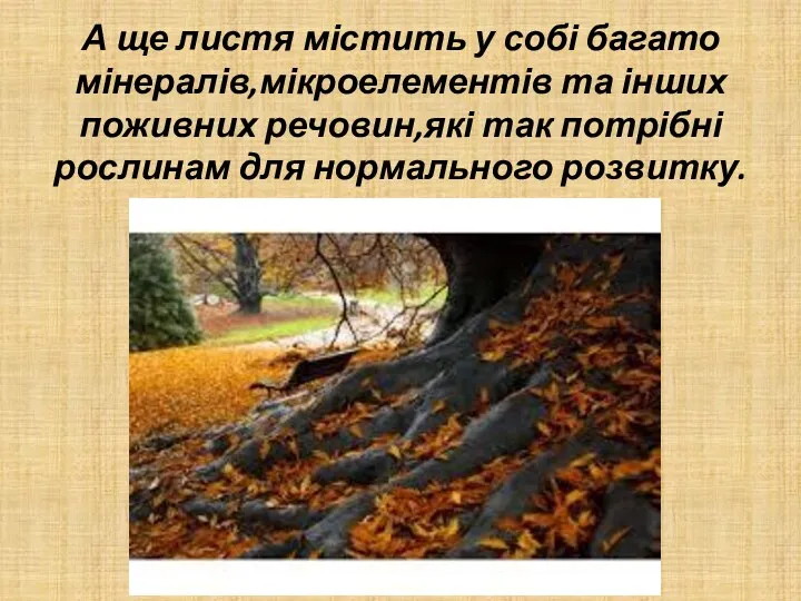 А ще листя містить у собі багато мінералів,мікроелементів та інших