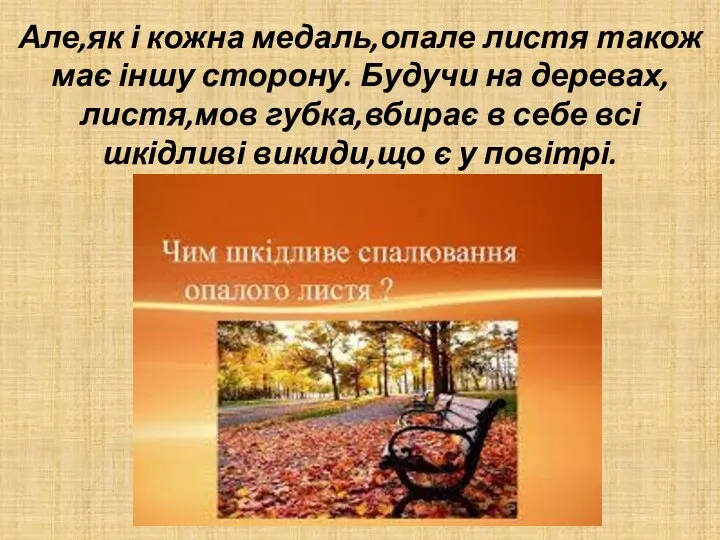 Але,як і кожна медаль,опале листя також має іншу сторону. Будучи