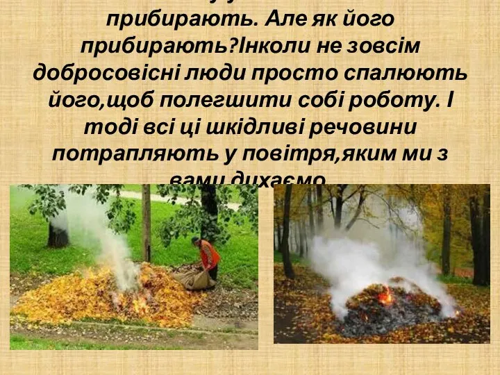 Саме тому у містах листя прибирають. Але як його прибирають?Інколи