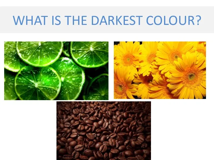 WHAT IS THE DARKEST COLOUR?
