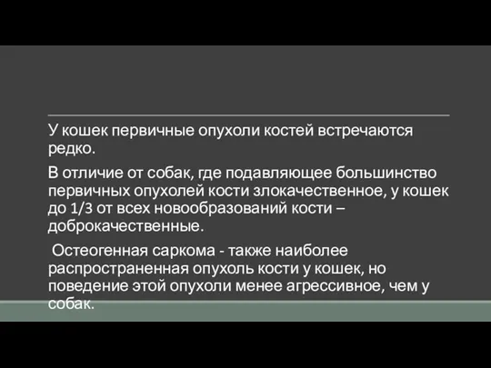 У кошек первичные опухоли костей встречаются редко. В отличие от