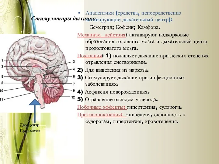 Стимуляторы дыхания. Аналептики (средства, непосредственно активирующие дыхательный центр): Бемегрид; Кофеин;