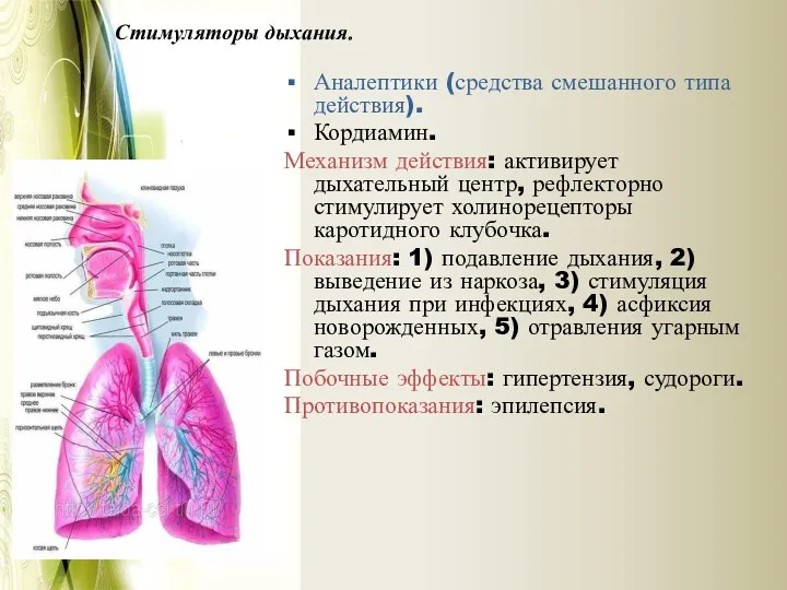 Аналептики (средства смешанного типа действия). Кордиамин. Механизм действия: активирует дыхательный