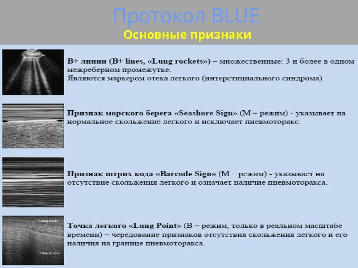 Протокол BLUE Основные признаки