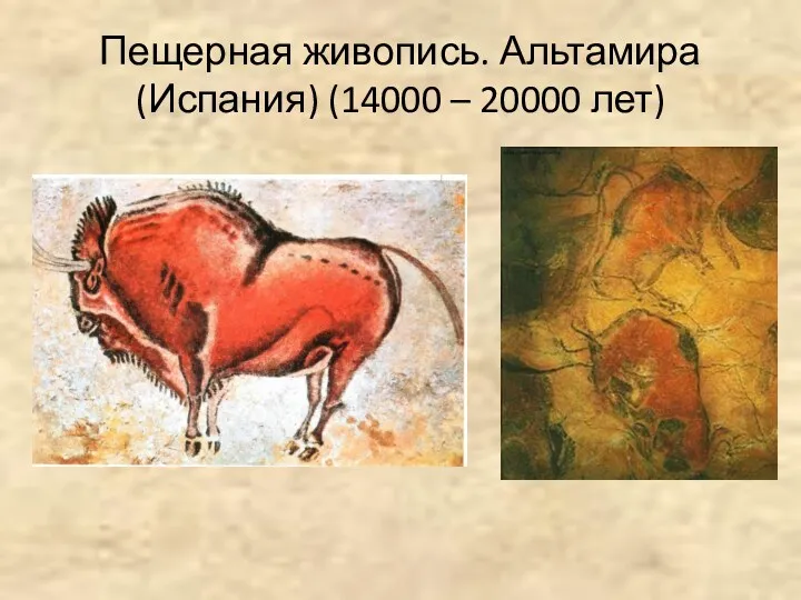 Пещерная живопись. Альтамира (Испания) (14000 – 20000 лет)