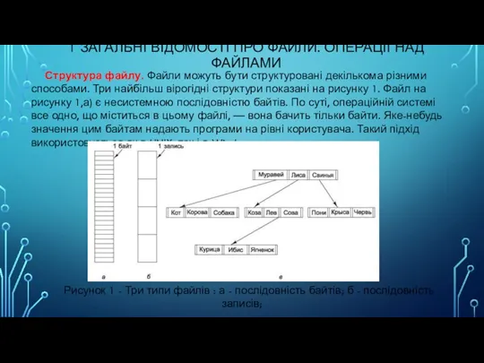 1 ЗАГАЛЬНІ ВІДОМОСТІ ПРО ФАЙЛИ. ОПЕРАЦІЇ НАД ФАЙЛАМИ Структура файлу.