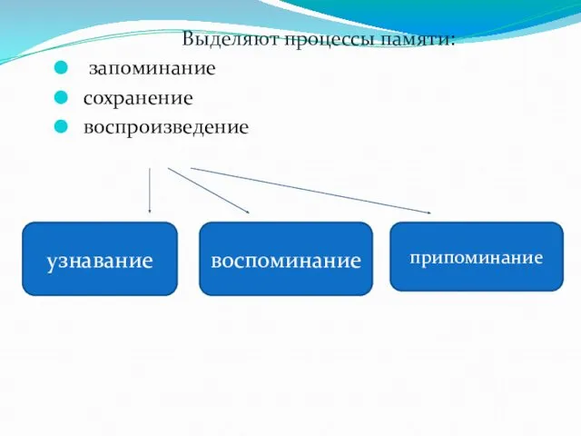 Выделяют процессы памяти: запоминание сохранение воспроизведение узнавание воспоминание припоминание