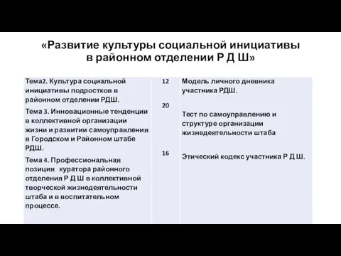 «Развитие культуры социальной инициативы в районном отделении Р Д Ш»