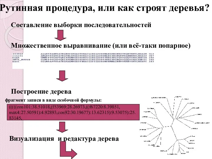 Рутинная процедура, или как строят деревья? Составление выборки последовательностей Множественное