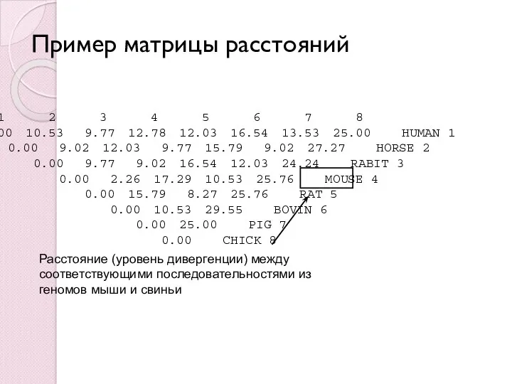 Пример матрицы расстояний 1 2 3 4 5 6 7
